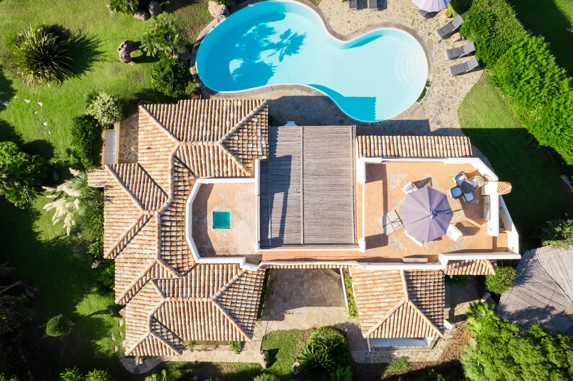 Villa FLor swimming pool