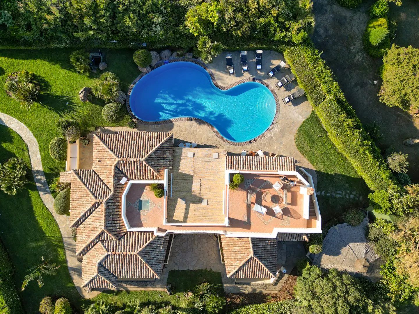 Villa FLor swimming pool
